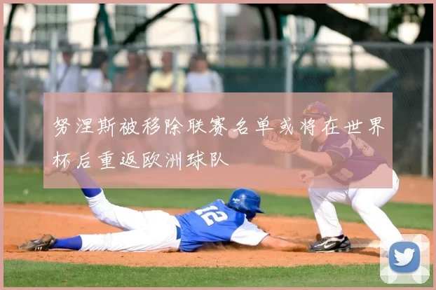 努涅斯被移除联赛名单或将在世界杯后重返欧洲球队