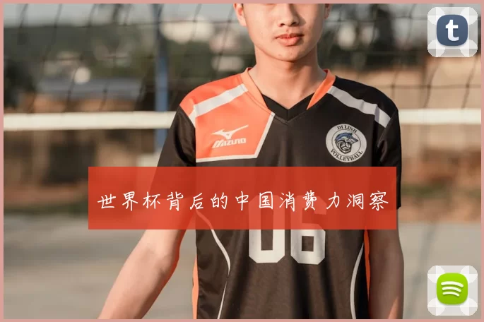 世界杯背后的中国消费力洞察