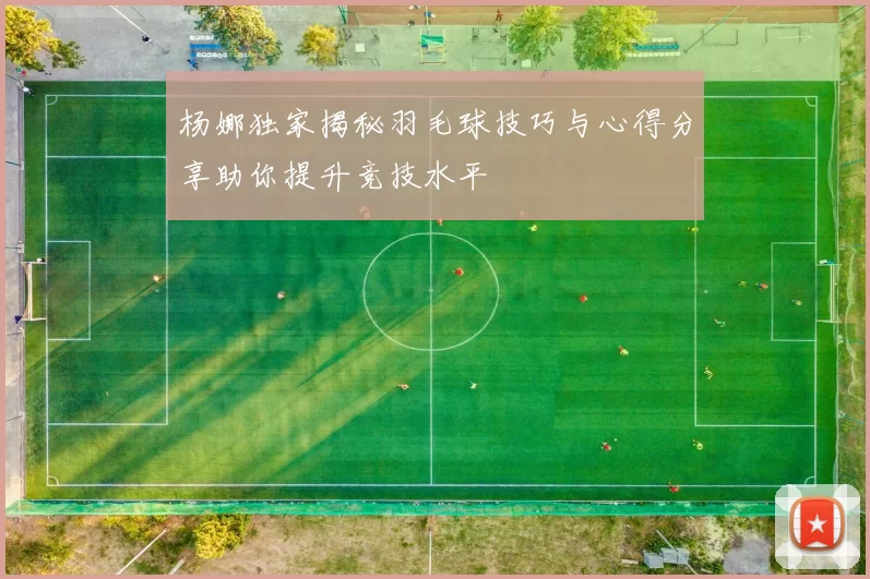 杨娜独家揭秘羽毛球技巧与心得分享助你提升竞技水平