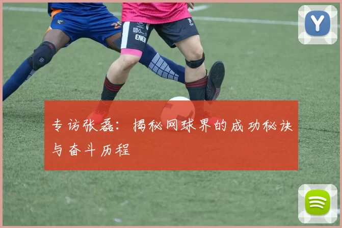 专访张磊：揭秘网球界的成功秘诀与奋斗历程