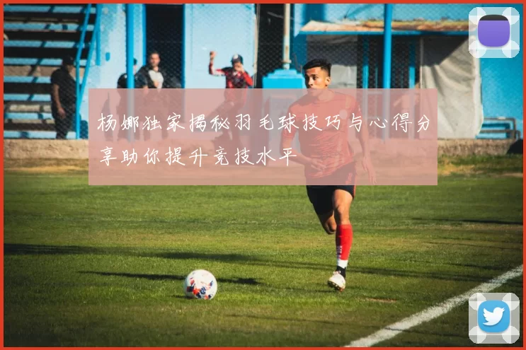 杨娜独家揭秘羽毛球技巧与心得分享助你提升竞技水平