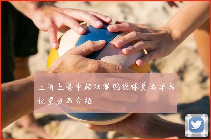 上海上港中超联赛现役球员名单与位置分布介绍