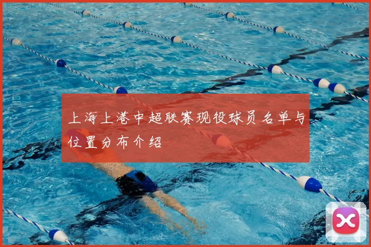 上海上港中超联赛现役球员名单与位置分布介绍