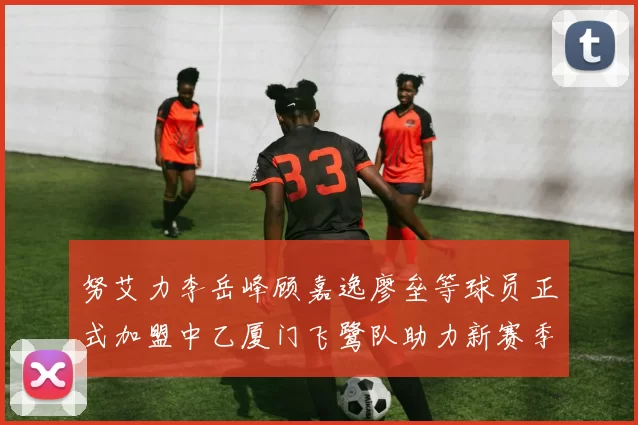 努艾力李岳峰顾嘉逸廖垒等球员正式加盟中乙厦门飞鹭队助力新赛季