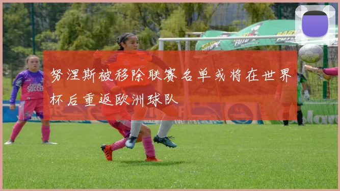 努涅斯被移除联赛名单或将在世界杯后重返欧洲球队