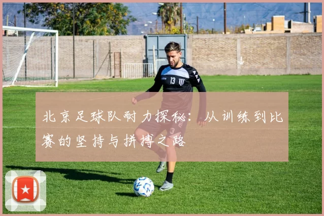 北京足球队耐力探秘：从训练到比赛的坚持与拼搏之路