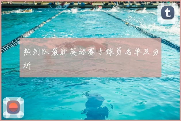 热刺队最新英超赛季球员名单及分析